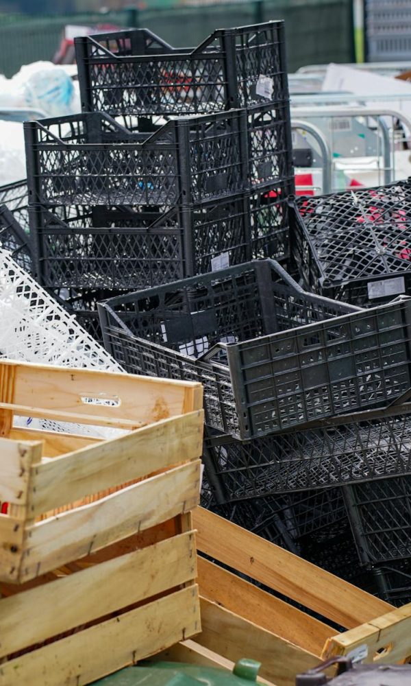 Colectarea corectă a plasticului, PET ului și foliei   Colectare plastic, PET și folie: cum se gestionează corect aceste deșeuri
