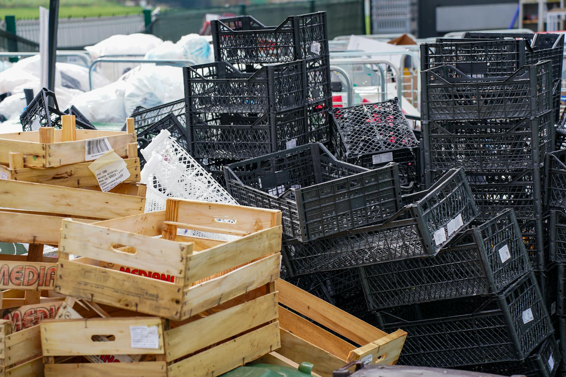 Colectarea corectă a plasticului, PET ului și foliei Colectare plastic, PET și folie: cum se gestionează corect aceste deșeuri
