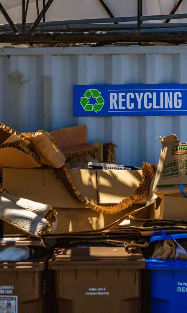 Cum ajută reciclarea la reducerea poluării   Cum ajută reciclarea la reducerea poluării