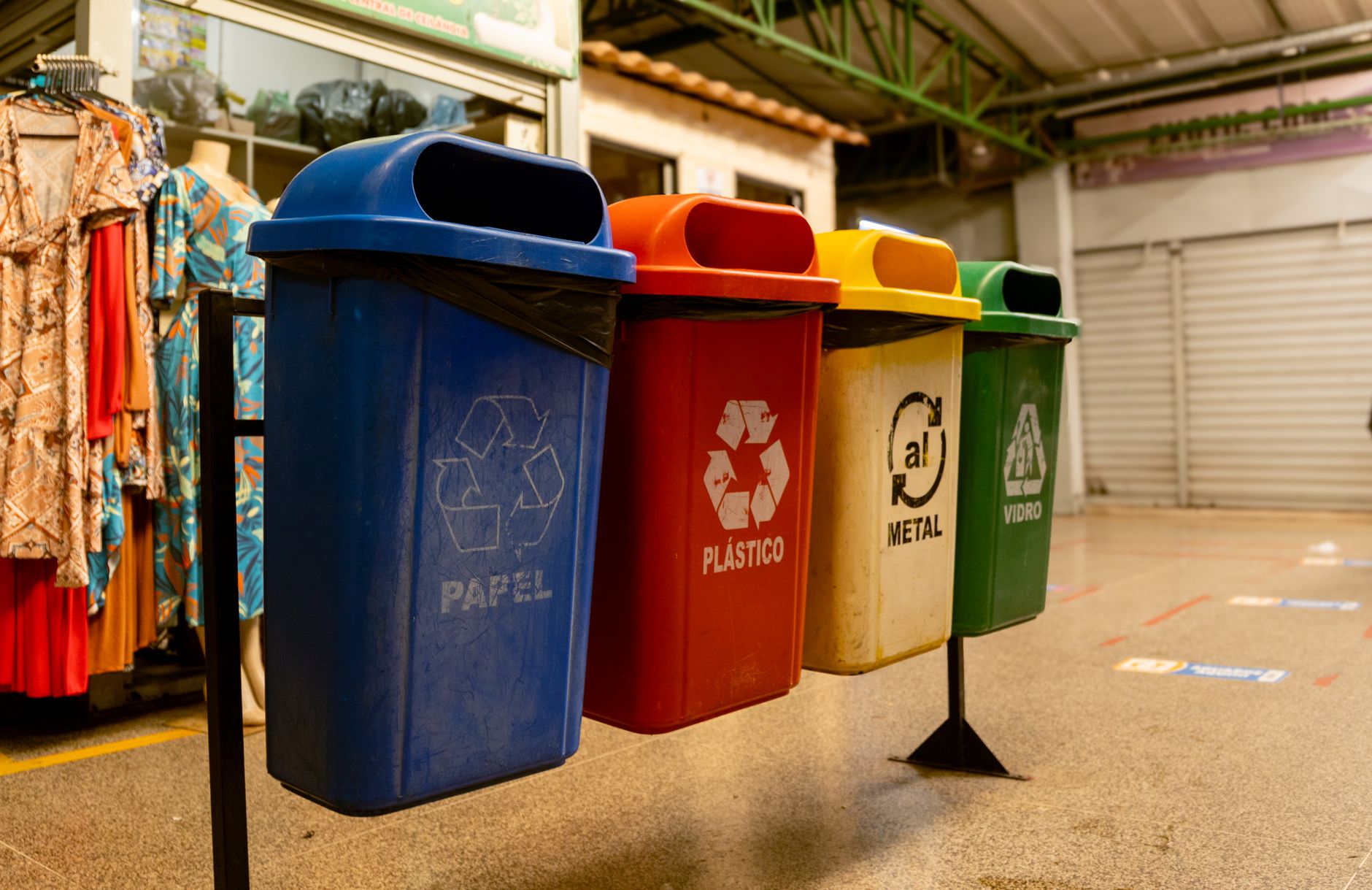 Cum să colectezi deșeurile corect pentru un mediu mai curat Deșeuri colectate corect, mediu mai curat
