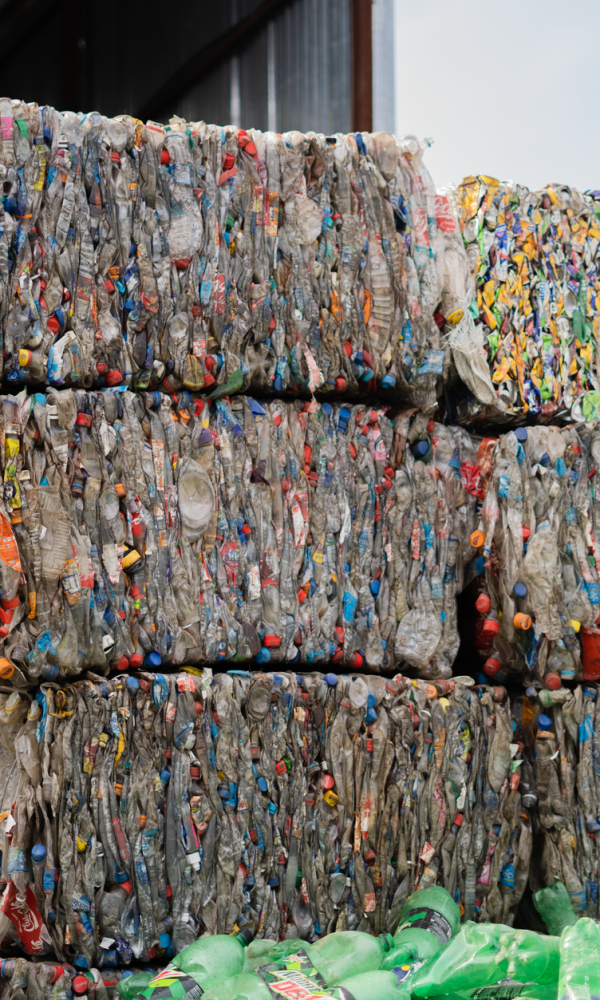 Reciclarea plasticului: soluții sustenabile pentru viitor   Reciclarea plasticului: de la problemă la soluție sustenabilă